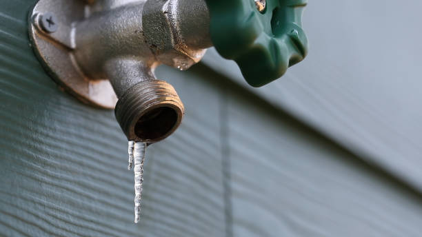 Best Plumbing Inspection Services  in Plafield, IN